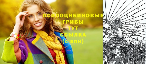 амфетамин Алексеевка