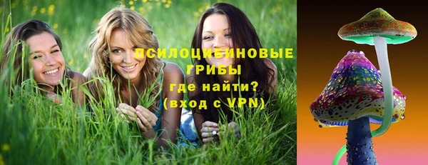 прущая мука Алзамай