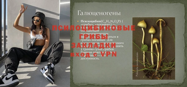 скорость Сосновка