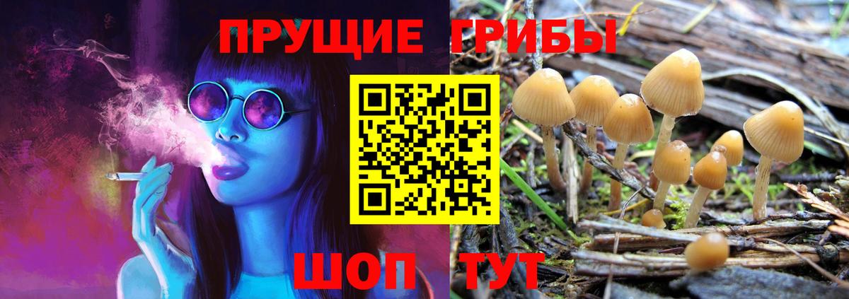 Галлюциногенные грибы мухоморы  Вход с VPN  Галлюциногенные грибы Cubensis  цены   Коркино 